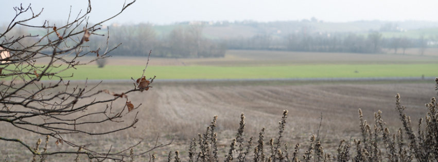 “Immagine panoramica documentaria dello stato iniziale del terreno nel 2022: campo dormiente in inverno, residui agricoli e poche tracce di vita che anticipano un processo di rinaturalizzazione."