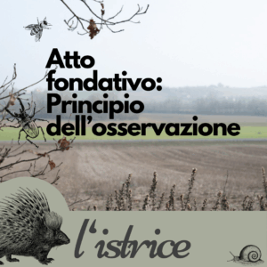 Principio dell'osservazione